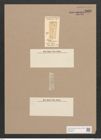 Amphora flexuosa Grev. (de-Toni-Nr.: Genus 36, Species 1511) Zeichnungen Sammlung Grunow Nr. 2930 (NHMW-BOT-W0370276)